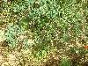 2003_0720_145041AA.jpg